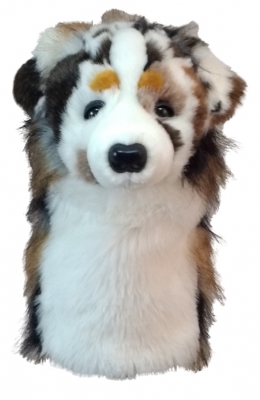 Daphne Headcover Driver Australian Sheperd i gruppen Golftillbehör / Headcover Metalwoods hos Dimbo Golf AB (9981190-66AUS)