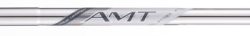 True Temper AMT Silver R