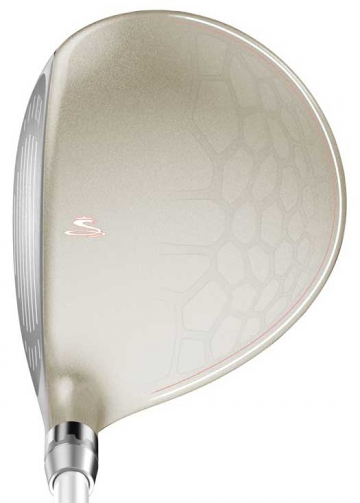 Cobra Fairwaywood Bio Cell Dam Höger Silver i gruppen Rea / Rea Golfklubbor / Rea Fairwaywoods hos Dimbo Golf AB (1568026-2130335r)