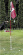 Backyard Golf flagga med hlkopp