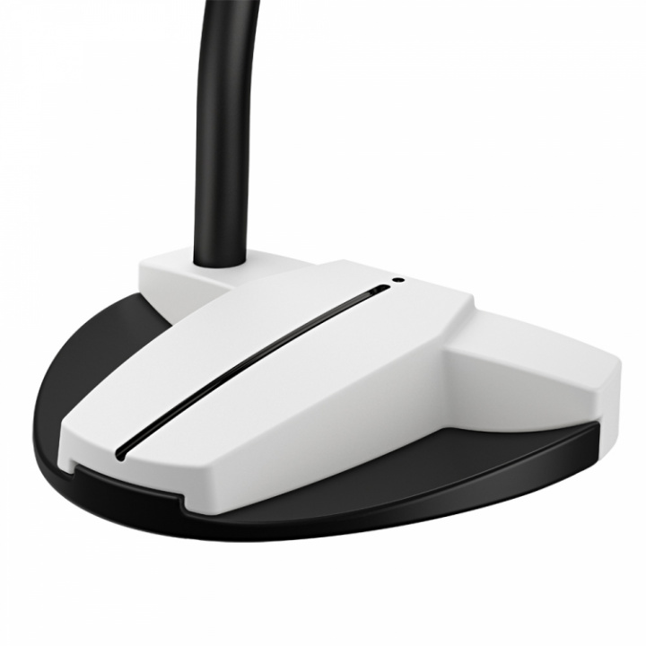 Ping Scottsdale Tec Hayden Putter i gruppen Golfklubbor / Putters hos Dimbo Golf AB (4572066-110133r)
