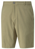 Puma Shorts Herr 101 North Antik Brons Heather