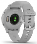 Garmin Smartklocka Venu 2S Silver/Dimgrå