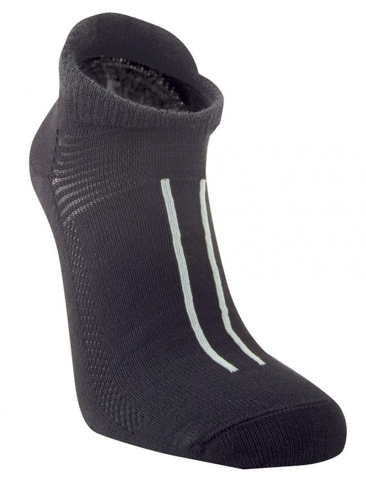 Lanner Strumpor Dam Tunn sula 169 Svart i gruppen Kläder / Accessoarer / STRUMPOR hos Dimbo Golf AB (9908001-169911Ar)